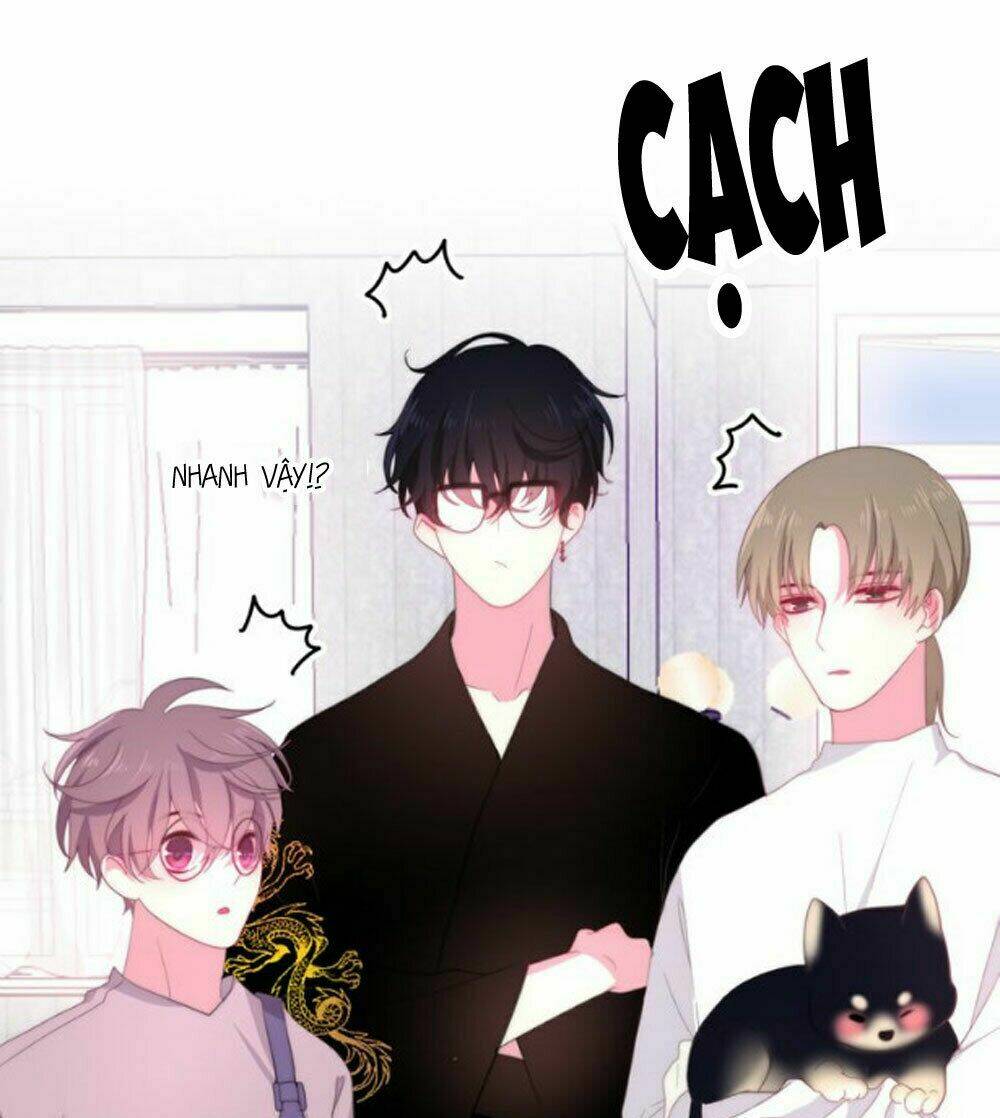 Tháng Sáu Không Hẹn Mà Gặp: Chapter 11