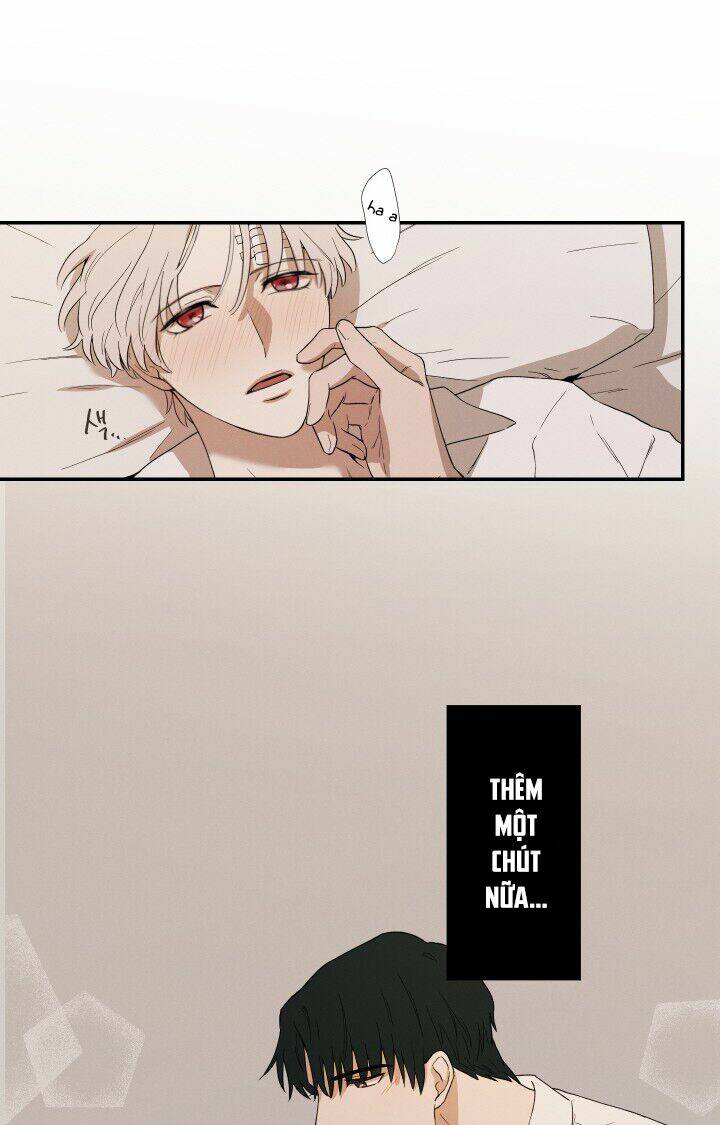 Trốn Tìm: Chapter 26