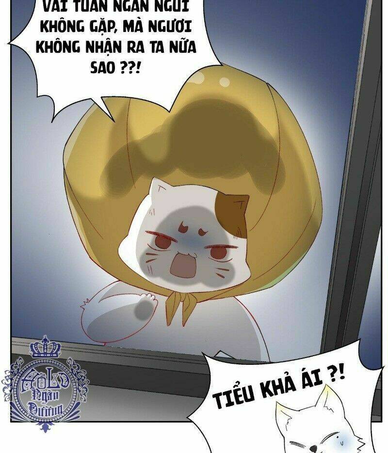 Ảnh Đế Yêu Hồ: Chapter 39