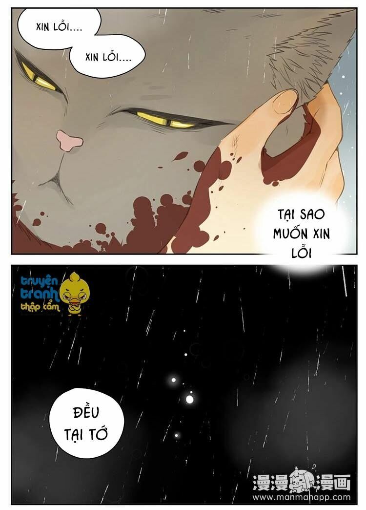 Cứu mạng ! Loài mèo thống trị thế giới rồi !: Chapter 26