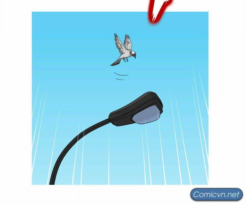 Thế Giới Cận Tử: Chapter 1