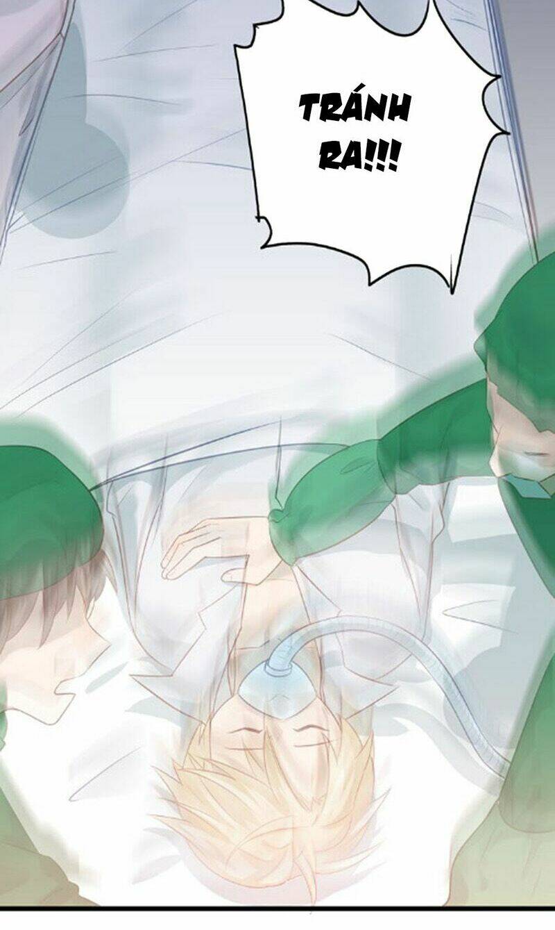 Đầu Gấu Biết Yêu: Chapter 97