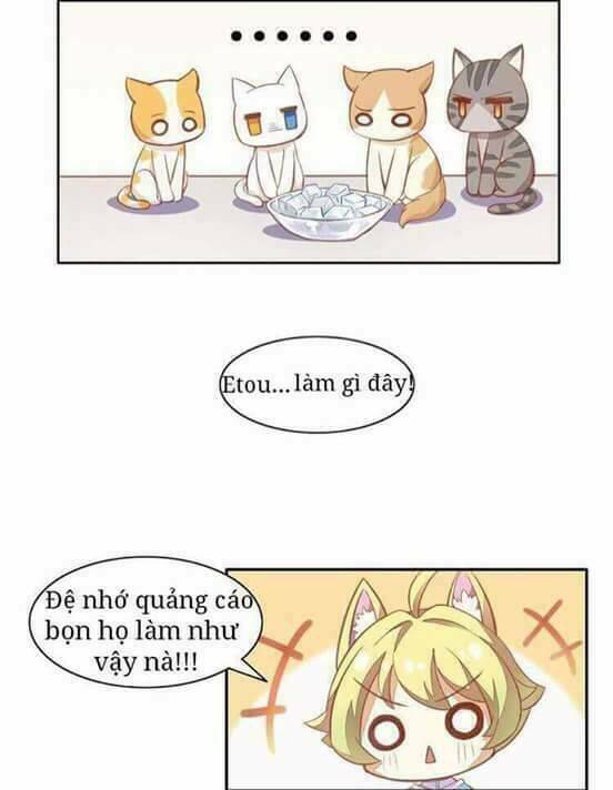 Dưới Móng Vuốt Mèo: Chapter 3