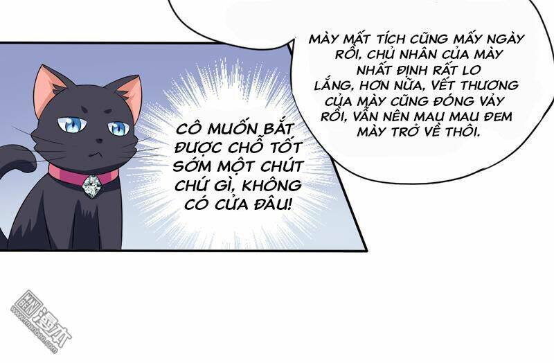 Miêu Vương Tại Thượng: Chapter 5