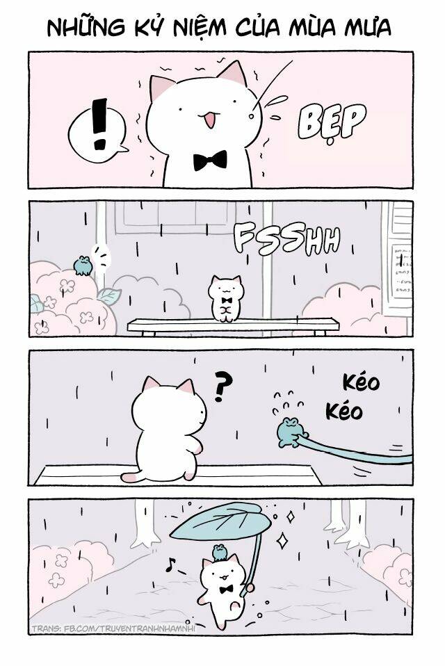 Chú Mèo Kỳ Diệu Kyuu-Chan: Chapter 416