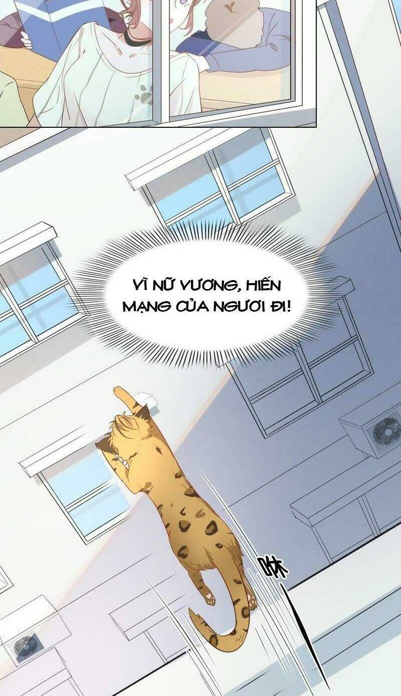 Thập Nhị Hắc Miêu: Chapter 1