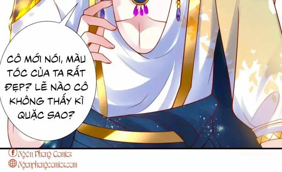 Sủng Hậu Của Vương: Chapter 19