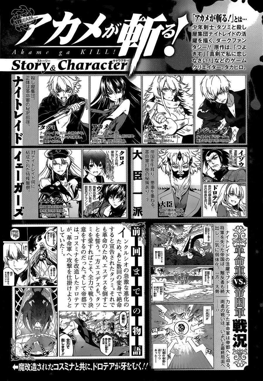 Akame Ga Kiru: Chapter 58.1