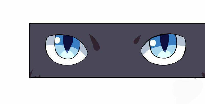 Miêu Vương Tại Thượng: Chapter 1