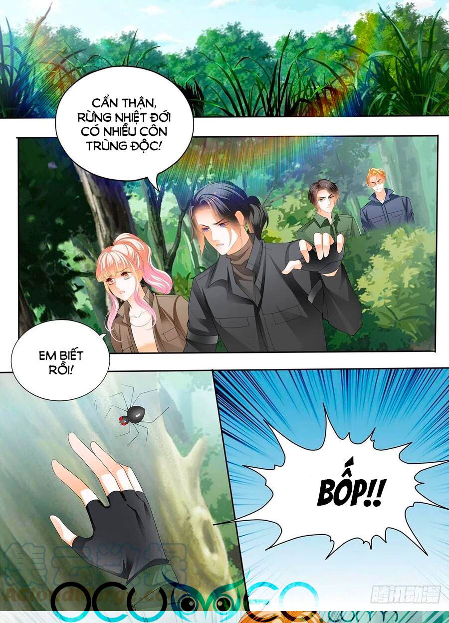 Bá Đạo Tiểu Thúc, Xin Trêu Chọc Vừa Thôi!: Chapter 245