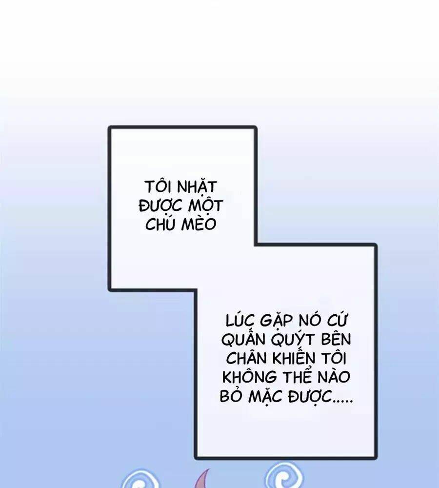 Đừng Nghịch, Ta Chỉ Muốn Yên Tĩnh: Chapter 62
