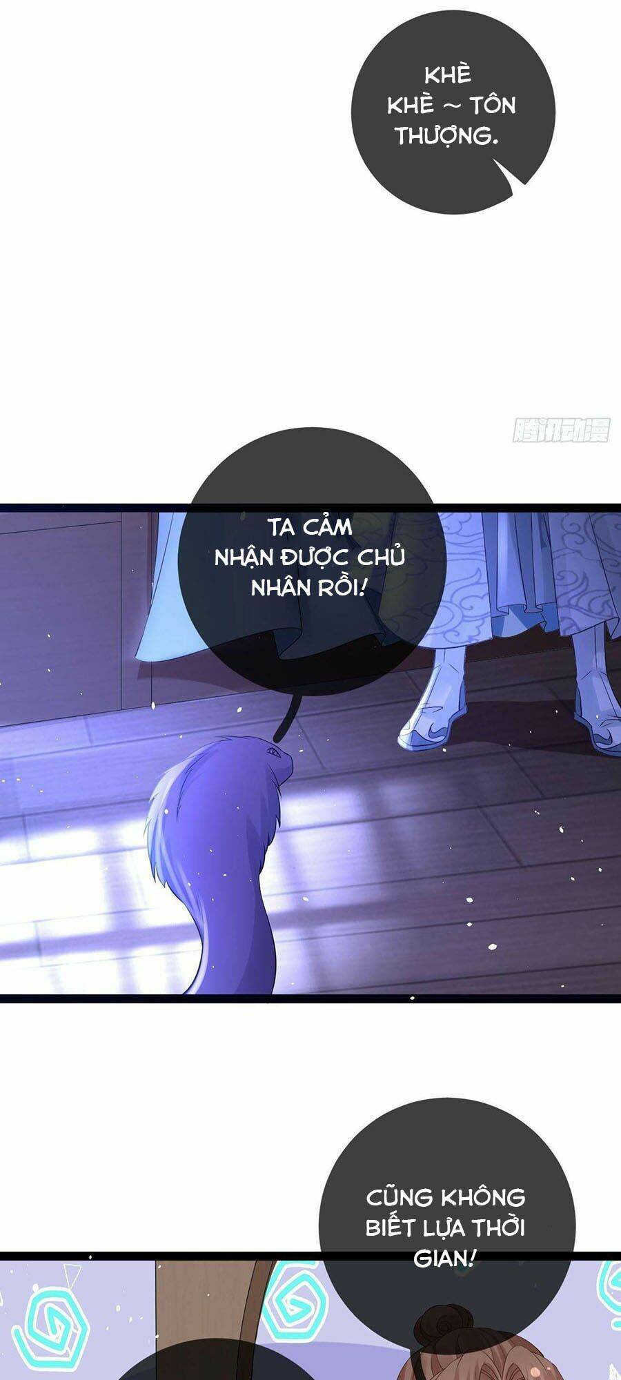 Ma Đầu Vạn Ác Năm Tuổi Rưỡi: Chapter 62