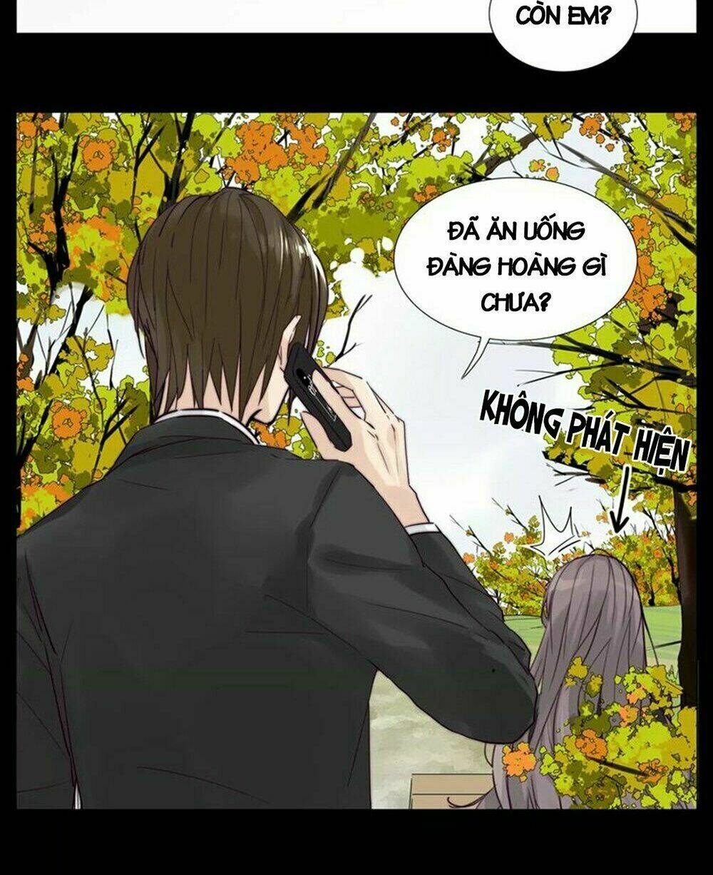 Tình Yêu Chớp Nhoáng: Chapter 41