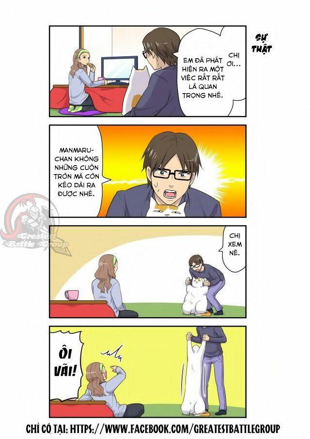 Cat is silver vine: Chapter 5