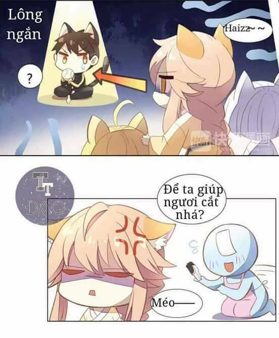Dưới Móng Vuốt Mèo: Chapter 3