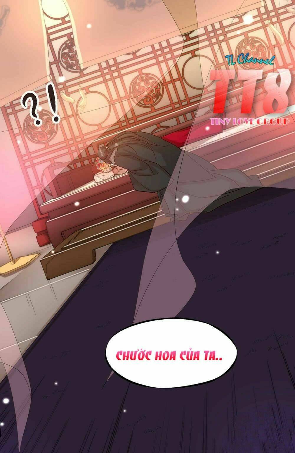 Khuynh Thành: Chapter 1