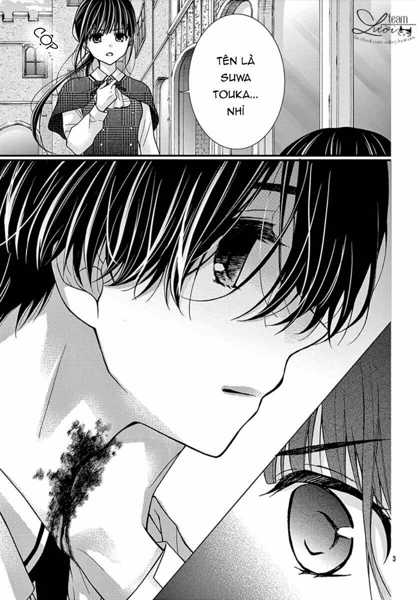 Máu Của Cậu Chỉ Thuộc Về Mình Tớ...: Chapter 57