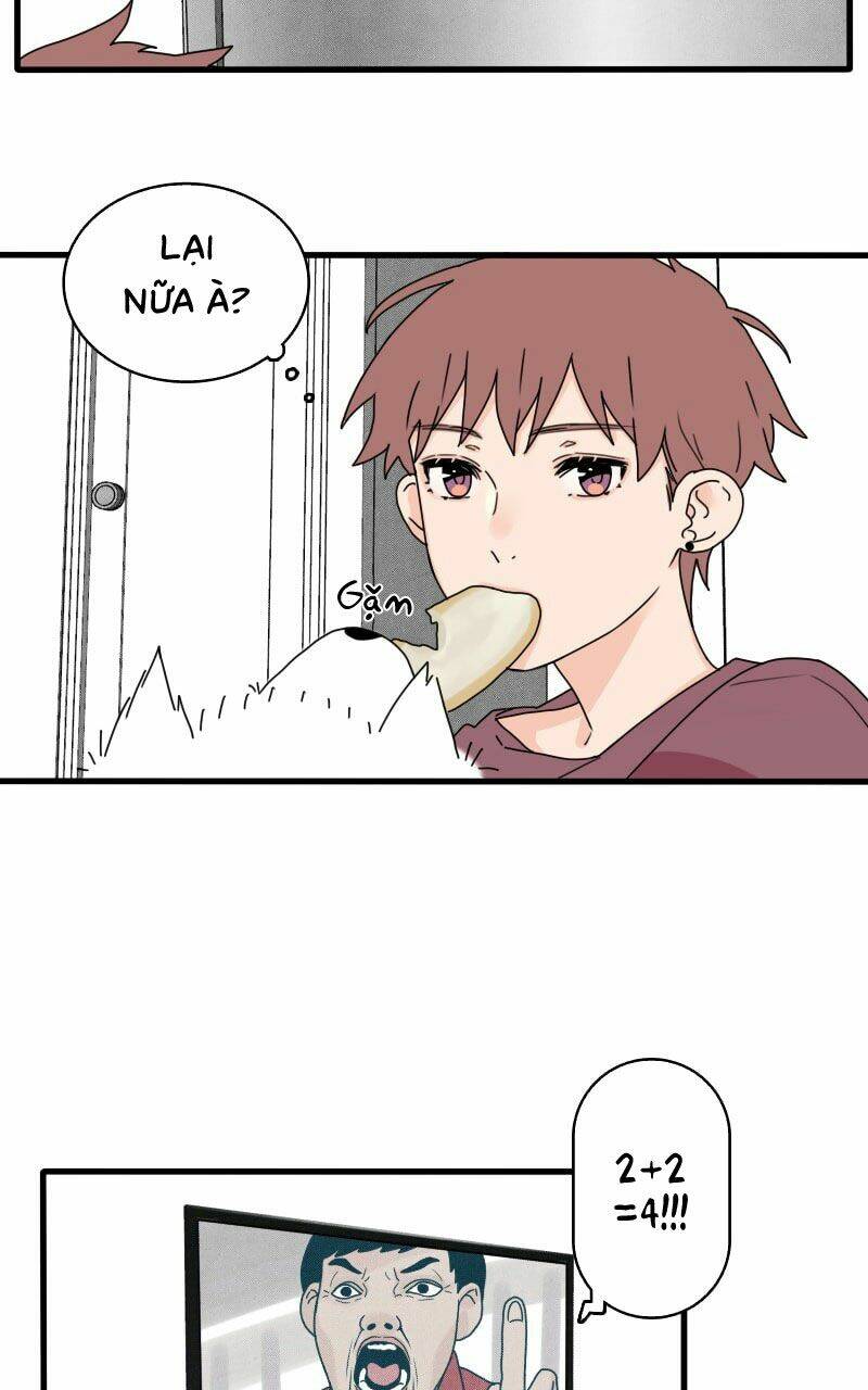 Not So Shoujo Love Story: Chapter 16