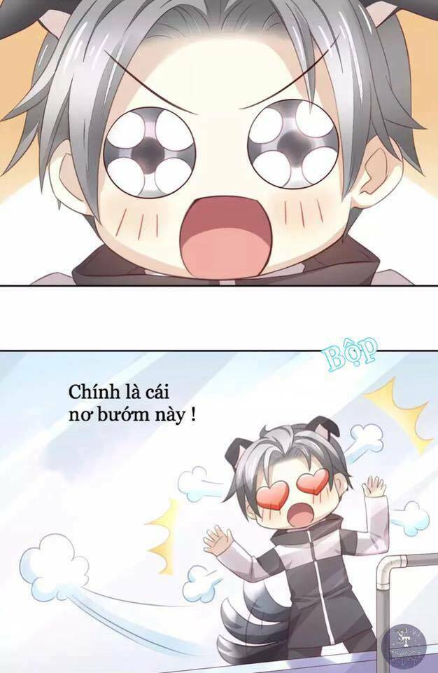 Dưới Móng Vuốt Mèo: Chapter 17