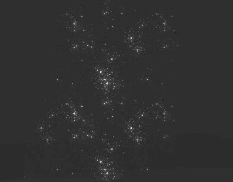 Ta Chỉ Muốn Giết Ngươi: Chapter 27