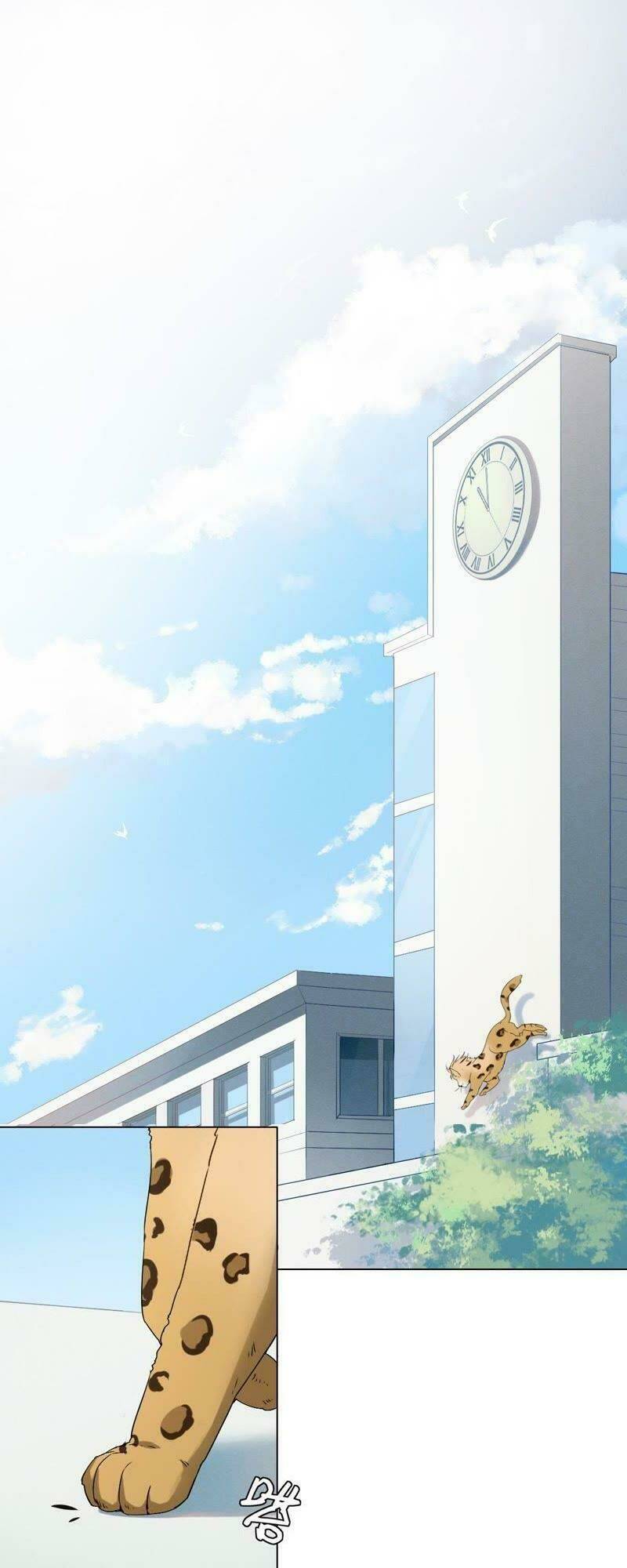 Thập Nhị Hắc Miêu: Chapter 1