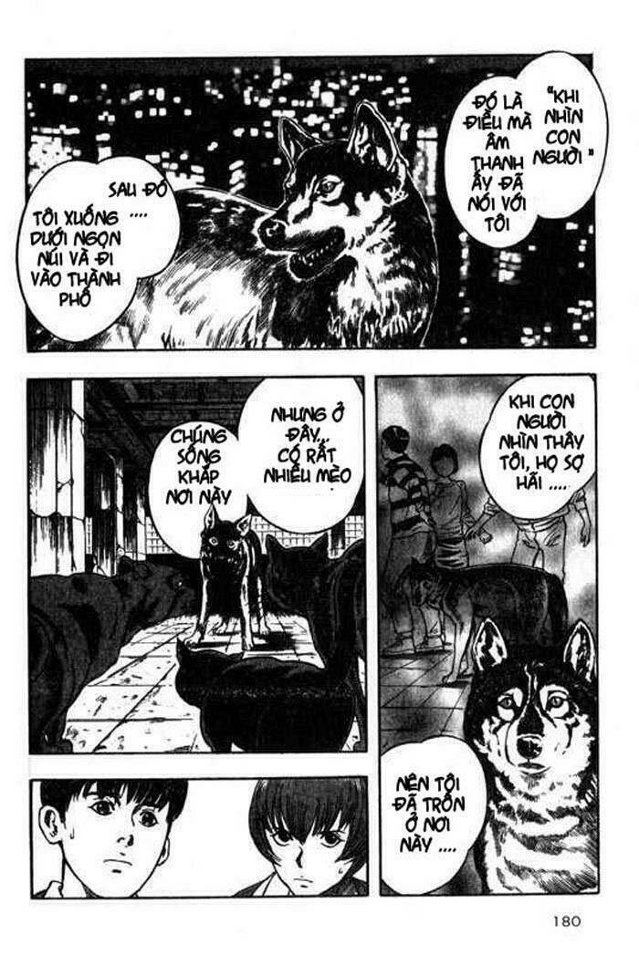 Inugami: Chapter 4