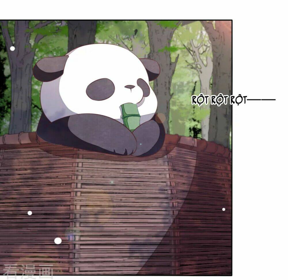 Xuyên Về Cổ Đại Làm Quốc Bảo: Chapter 30