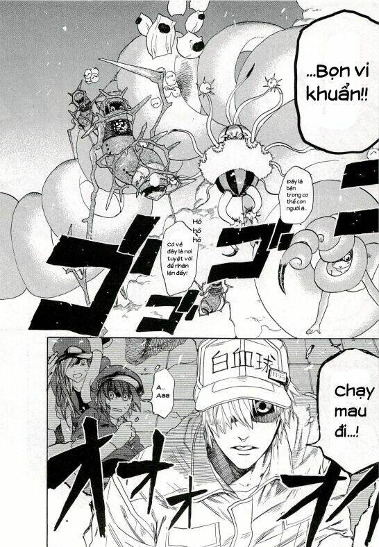 Hataraku Saibou!: Chapter 4