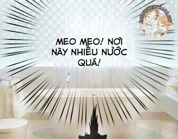 Viện Bảo Tàng Tâm Nguyện: Chapter 2.2