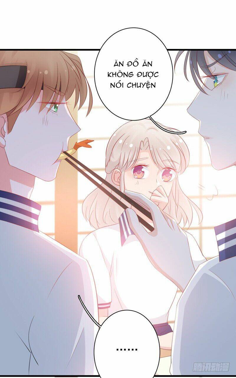 Thư Tay Tình Yêu Của Sơ Hạ: Chapter 5