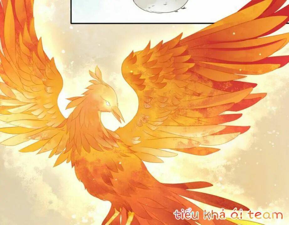 Tước Kiều Tiên: Chapter 2.1