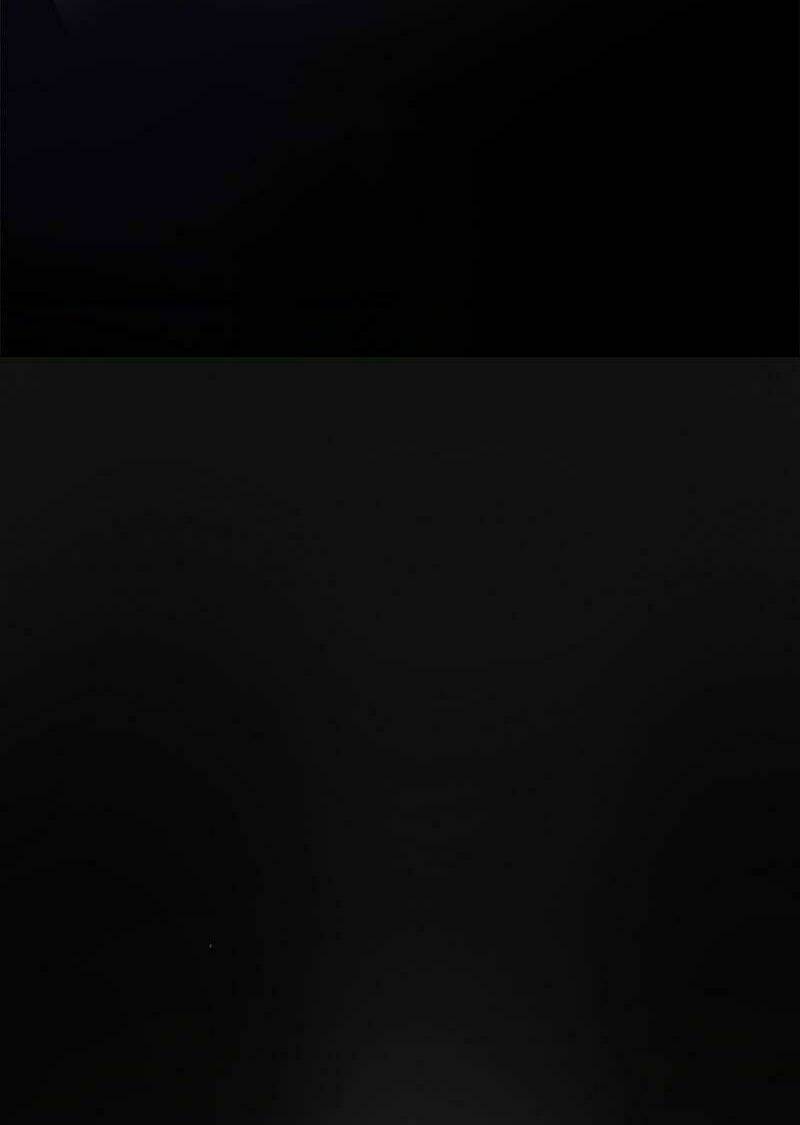 Thịnh Sủng Kiều Nữ Trở Về Triều Ca: Chapter 3