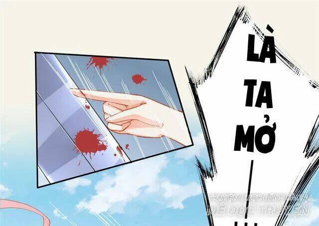 Tuyệt Thế Luyện Đan Sư: Chapter 15