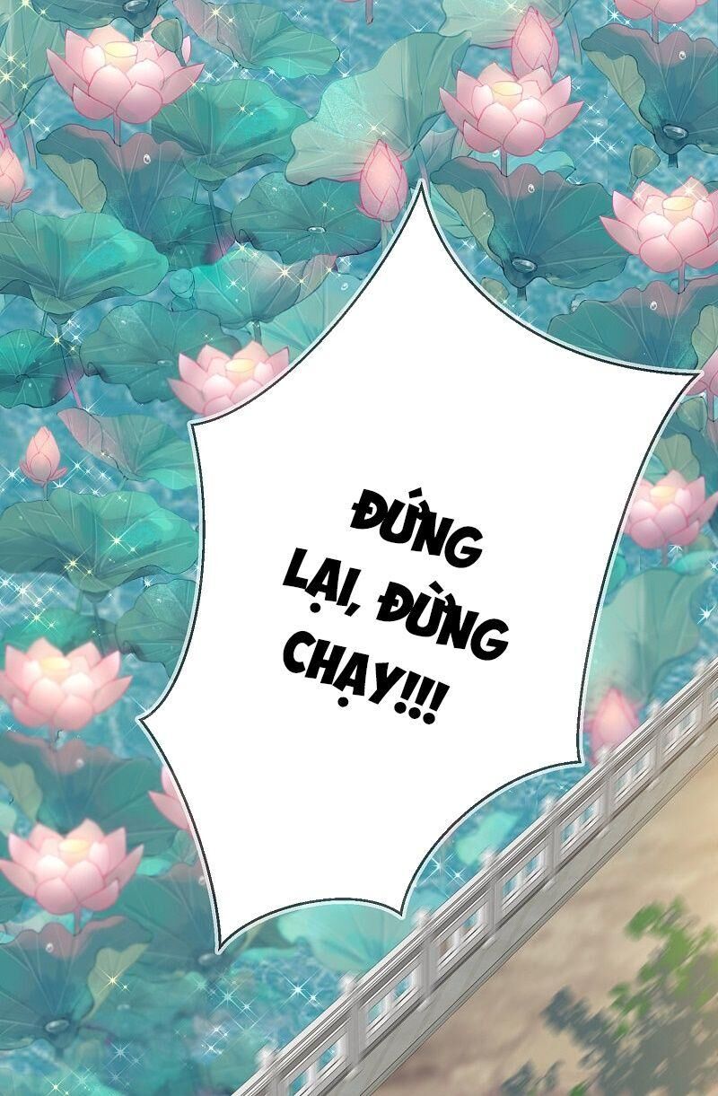 Công Lược Trưởng Thành Của Vương Phi: Chapter 29