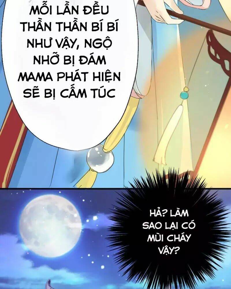 Hành Trình Sủng Đế Cơ: Chapter 1