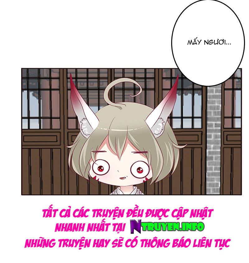 Thông Linh Phi: Chapter 327