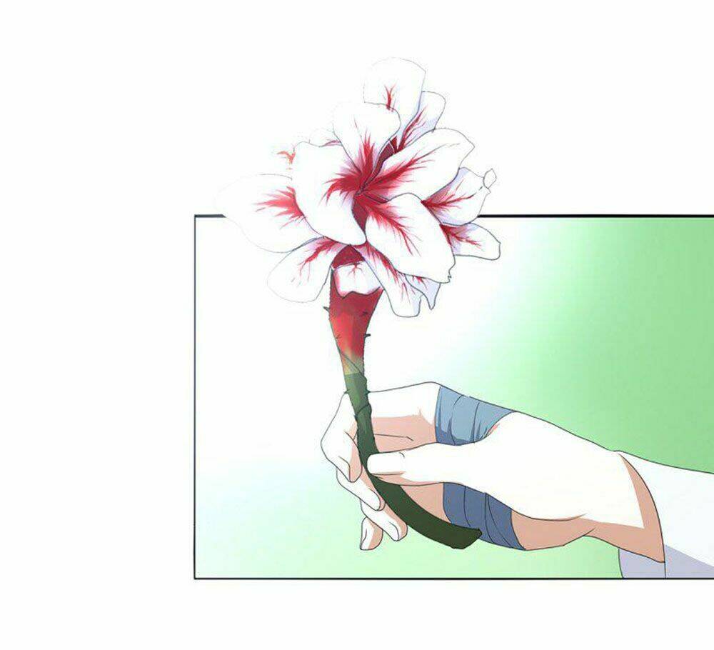 Hỏa Hồ: Chapter 19