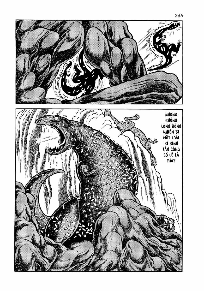 Chim Lửa: Chapter 28