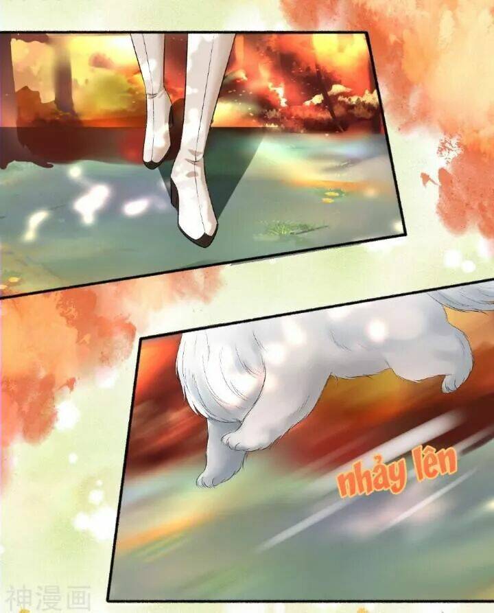 Cuồng Phi Phách Lối: Chapter 70