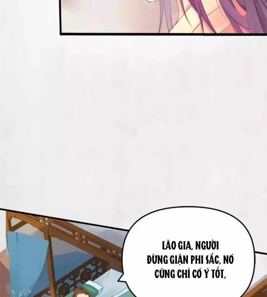 Hoạn Phi Hoàn Triều: Chapter 36