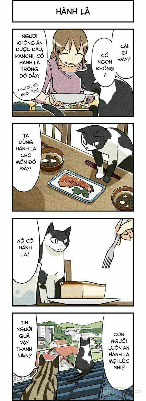 We Are Cat: Chapter 3