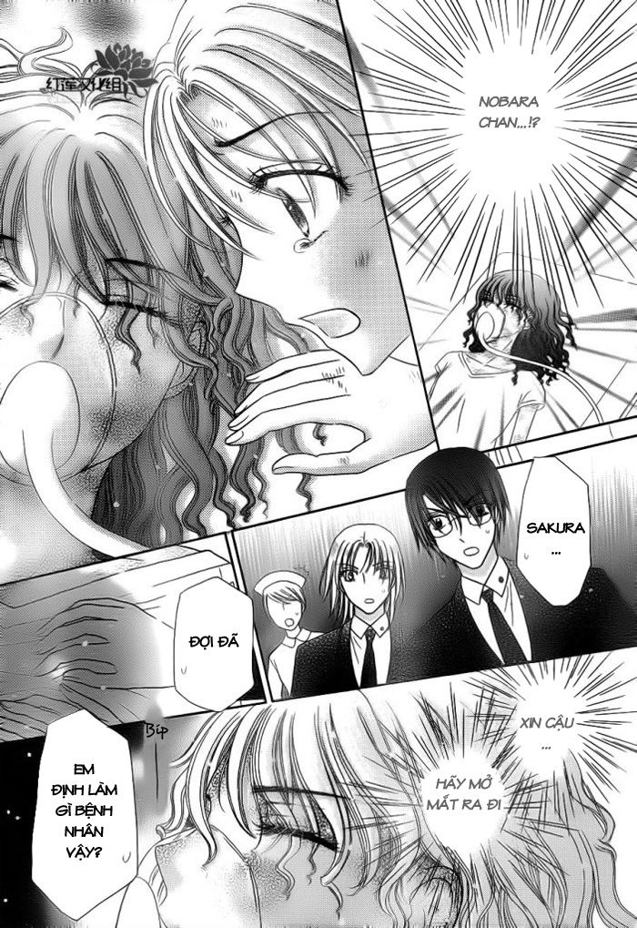 Học Viện Alice: Chapter 155