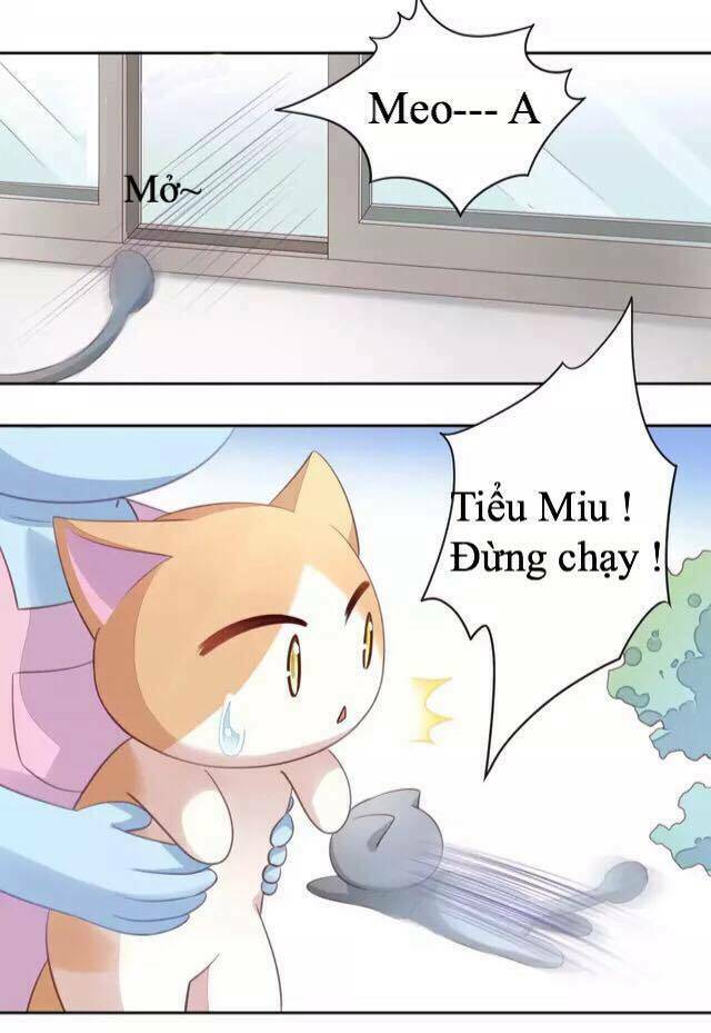 Dưới Móng Vuốt Mèo: Chapter 16