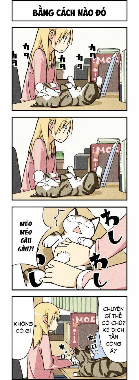 We Are Cat: Chapter 13