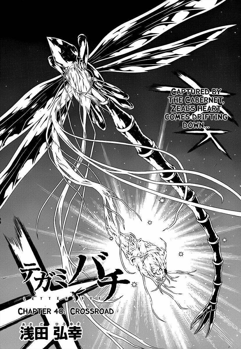 Ong Đưa Thư: Chapter 40