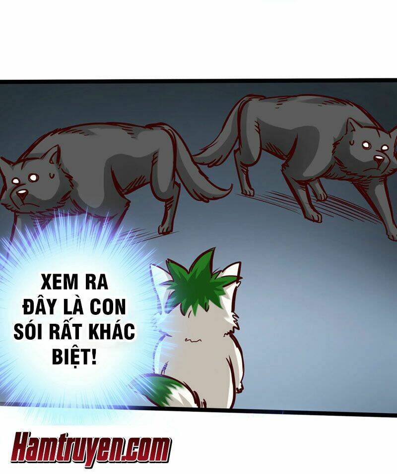 Thông Thiên Chi Lộ: Chapter 14