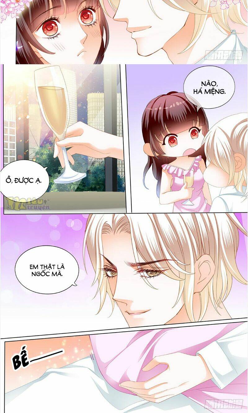 Thiểm Hôn Kiều Thê: Chapter 242
