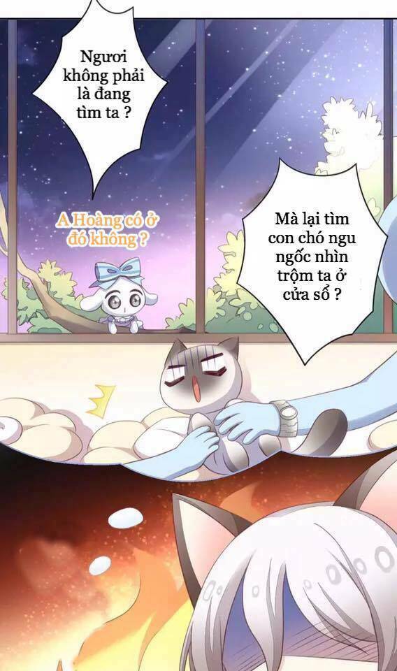 Dưới Móng Vuốt Mèo: Chapter 15