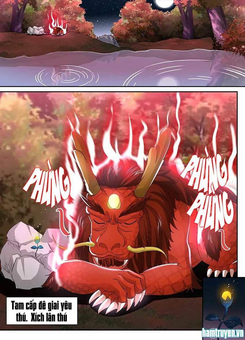 Vĩnh Hằng Chí Tôn: Chapter 41