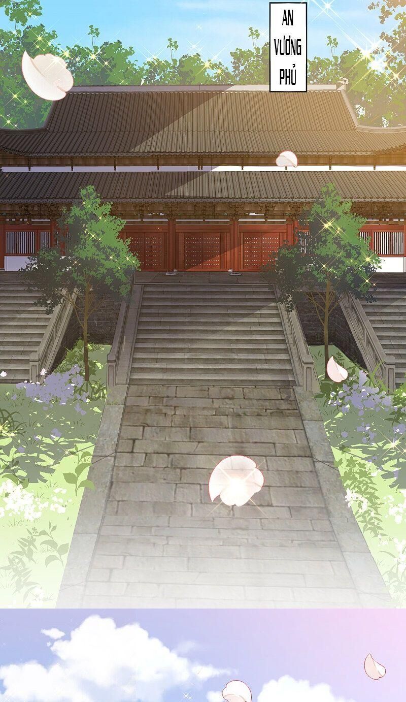 Công Lược Trưởng Thành Của Vương Phi: Chapter 29